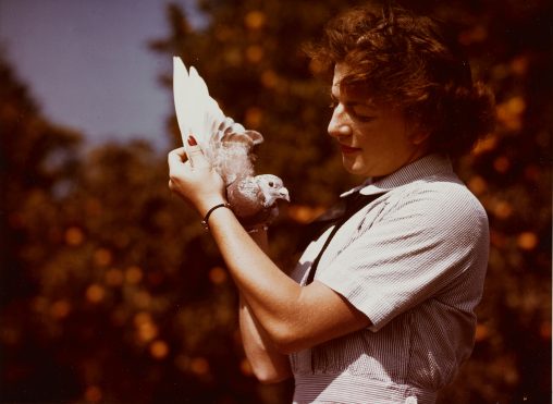 U.S. Naval Air Station, Santa Ana, California, c. June 1945. pecialist (X) 2nd Class Marcelle Whiteman holds one of the 200 carrier pigeons based at NAS Santa Ana, circa June 1945. The birds were used to transmit communications from the air to the station when radio silence is in force. One of the occupations covered by the Specialist (X) rating was Pigeon Trainer. [Official U.S. Navy Photograph, now in the collections of the National Archives]