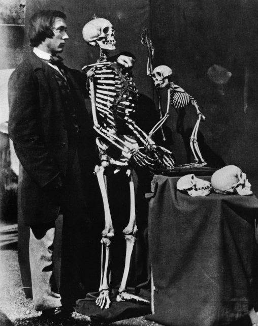 Reginald Southey (1835-1899) with skeletons of human and monkey. Albumen print 16.7 x 13.7 cm, 1857.