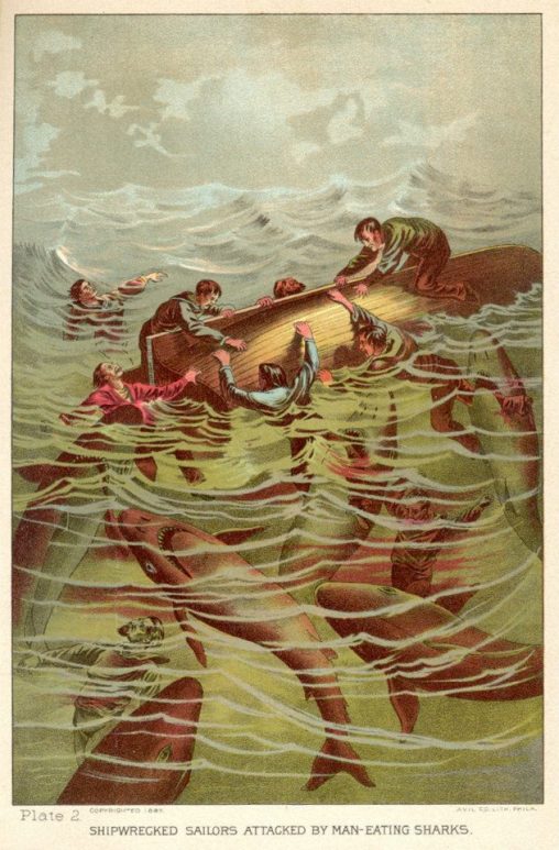 “Shipwrecked sailors attacked by man eating sharks” illustration from Sea and Land An Illustrated History by JW Buel, 1887.
