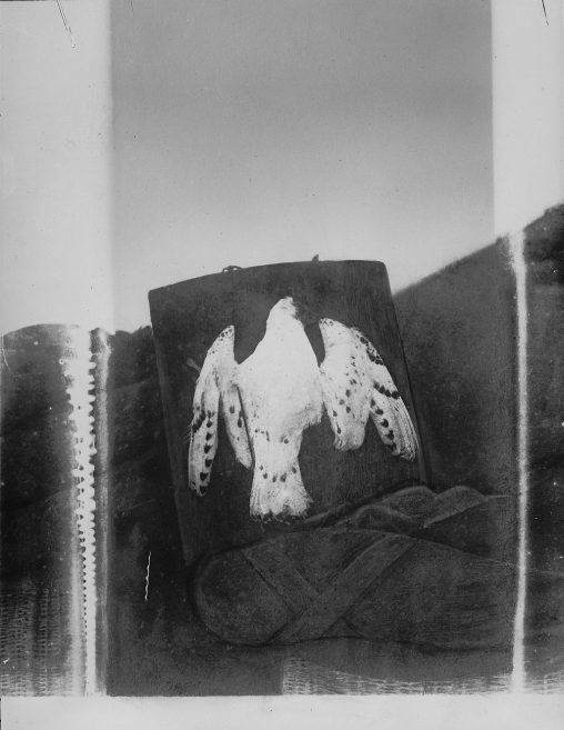 Andrée’s Polar Expedition. A seagull displayed at the tent. Probably shot by Andrée on the 22th of August 1897 and recovered in 1930 [Photo Nils Strindberg - Teknisca museer]