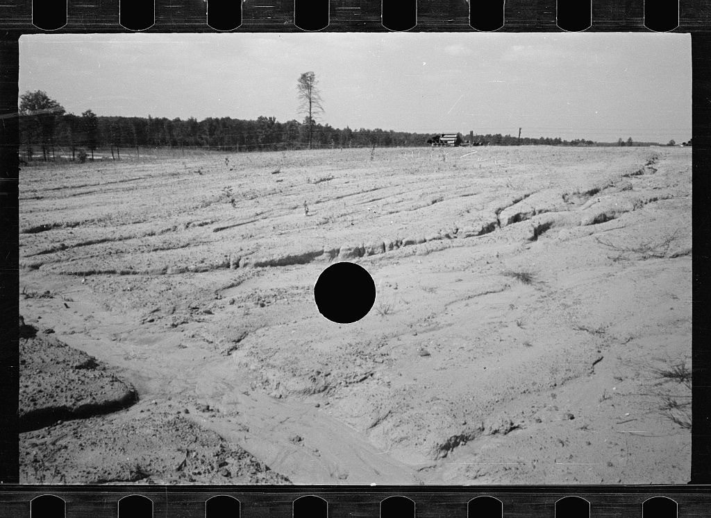 Photo killed with a hole puncher, resulting in a black hole, 1930’s. This photo is part of the Farm Security Administration (FSA) documentary program, setup during the Great Depression, in USA, to show the misery in rural America. Roy Stryker, the director of this program is the responsible for this method of killing negatives that were not meeting the established criteria. 