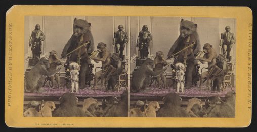 The band--"Music hath charms to soothe the savage beast". 
Hand-colored photographic print on stereo card (stereograph, albumen) [Photo by Eugene Haines].