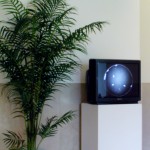 10 mustafás (palco), 2003