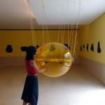 Organismo, 2003