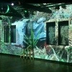 Around and about – Psychedelic (cat), 2013-2017